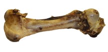 Beef bone XL